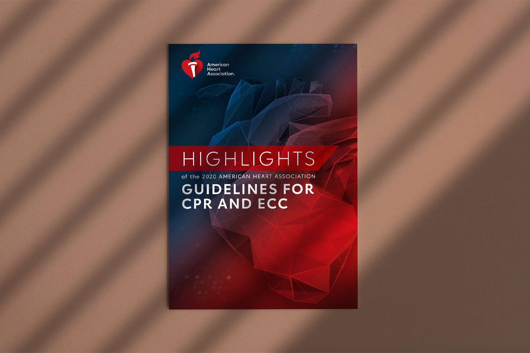 Guidelines for CPR and ECC