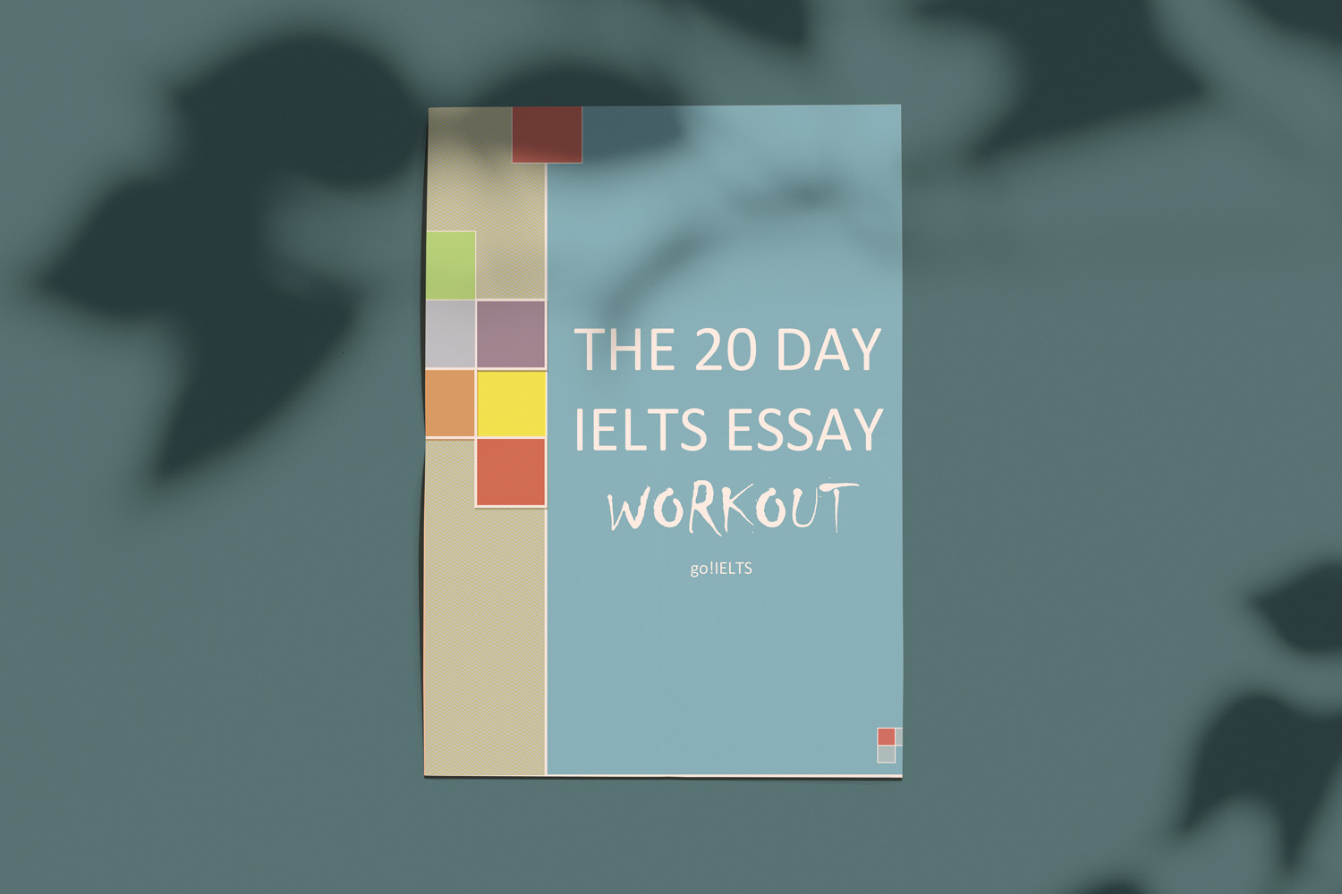 The 20 Day Ielts Essay Workout